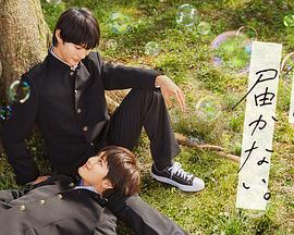 泛页面关键词2765